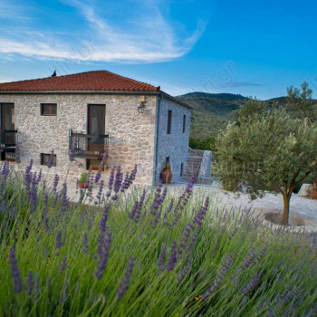 Εξωτερική όψη - Outdoor view